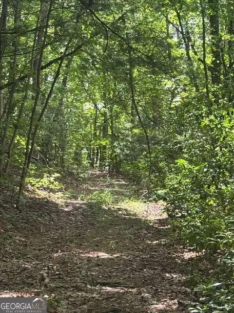 10.96 AC Paramount Trail, Ellijay, GA 30536 - #2