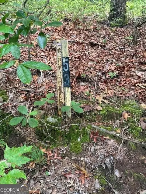 10.96 AC Paramount Trail, Ellijay, GA 30536 - #3