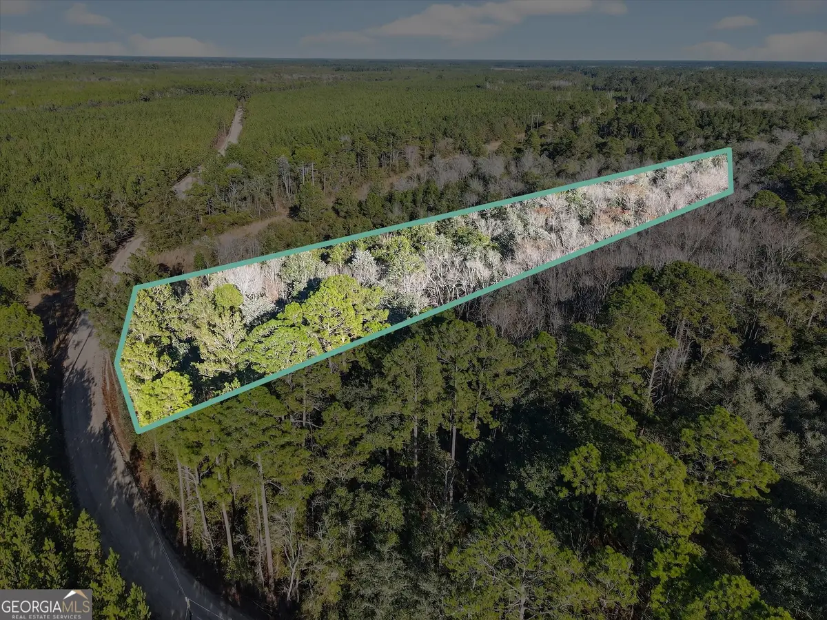 0 Beautiful Zion Cemetary Road, Pembroke, GA 31321 - #1