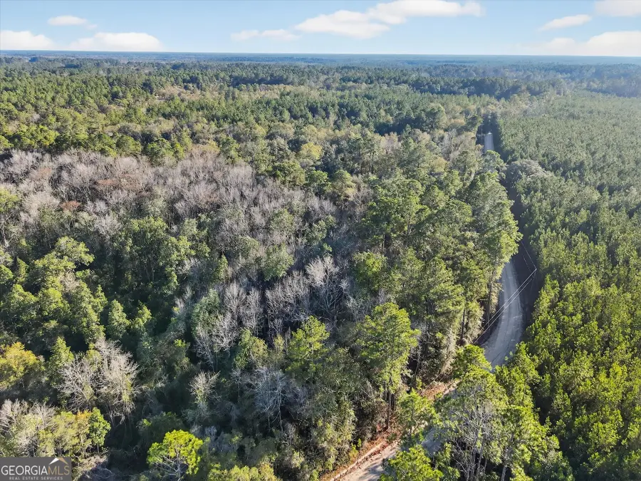 0 Beautiful Zion Cemetary Road, Pembroke, GA 31321 - #2