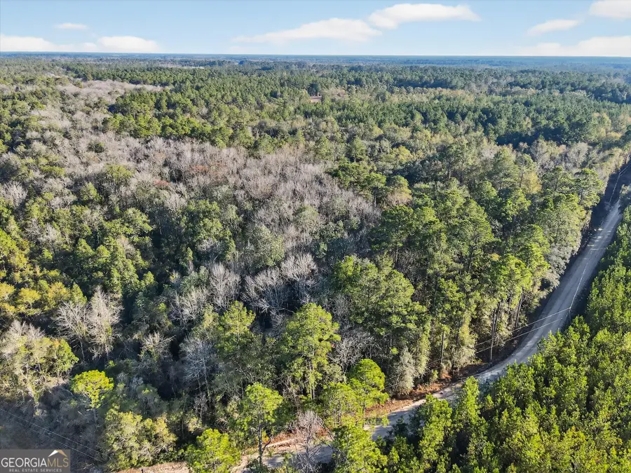0 Beautiful Zion Cemetary Road, Pembroke, GA 31321 - #3