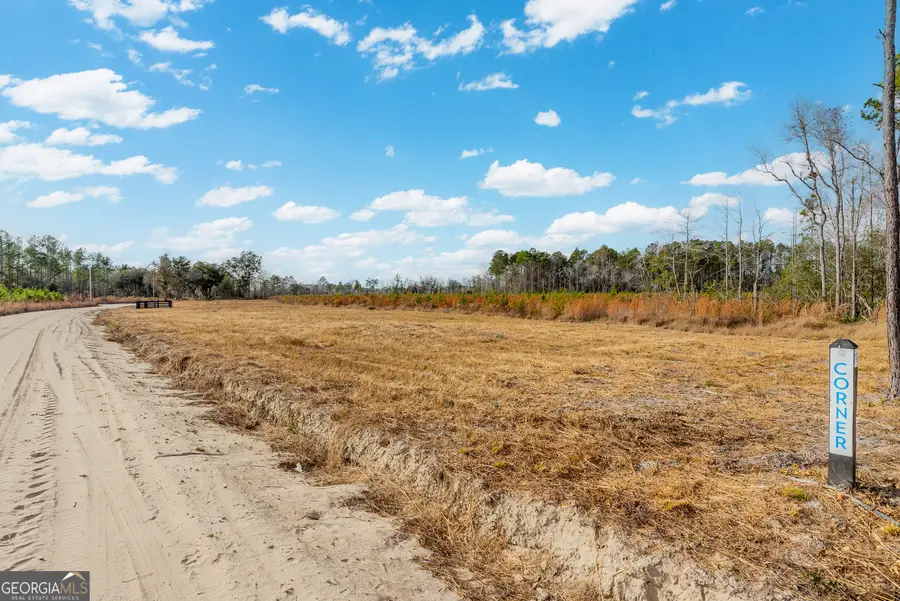 LOT 16 Lanes Church Road, Brooklet, GA 30415 - #2