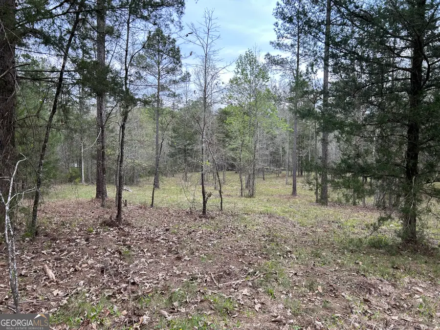 01 Hornets Bridge Drive, Elberton, GA 30635 - #2