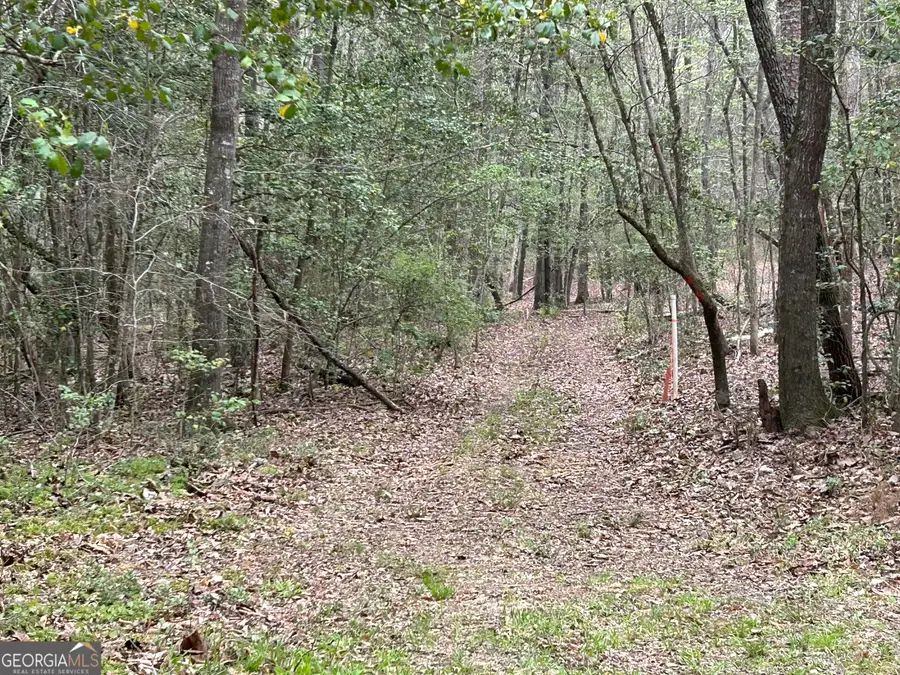 01 Hornets Bridge Drive, Elberton, GA 30635 - #3