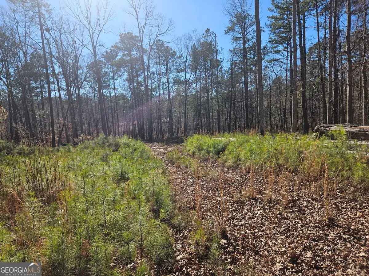 0 Glenn Road Ne, Conyers, GA 30013 - #1