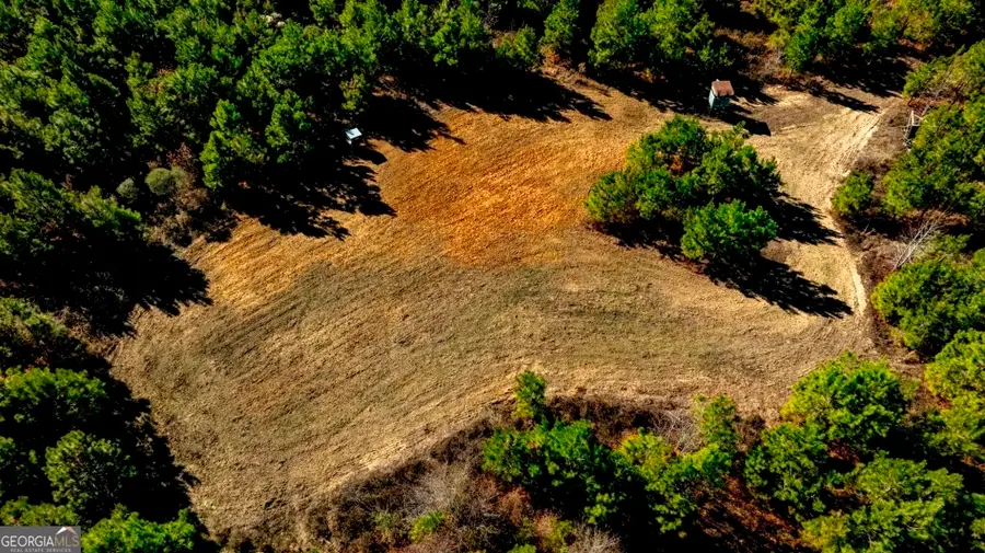 0 Mead Rd. & Cemetery Road, Ideal, GA 31041 - #3