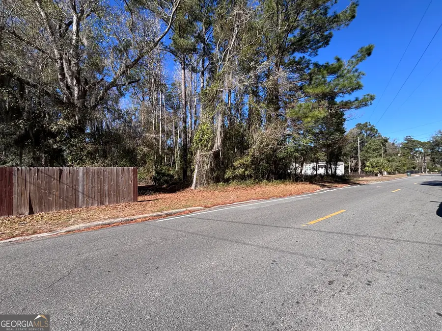 0 Martin Luther King Jr, Kingsland, GA 31548 - Image #3