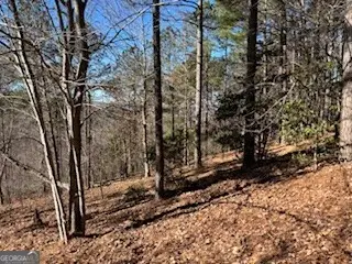 0 Mile High Ln, Blairsville, GA 30512 - #3