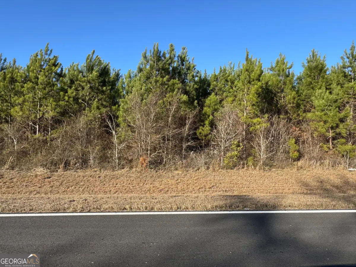 LOT 5A Whitfield Road, Elko, GA 31025 - #1