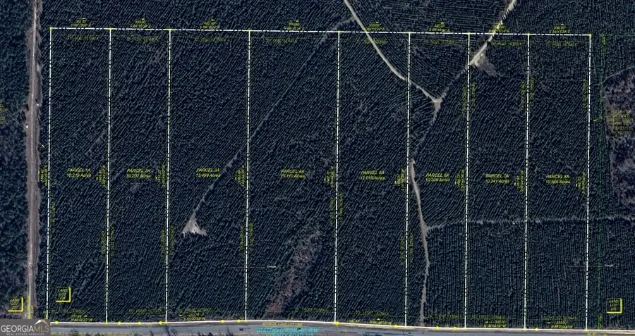LOT 6A Whitfield Road, Elko, GA 31025 - #3