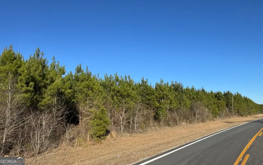 LOT 7A Whitfield Road, Elko, GA 31025 - #2