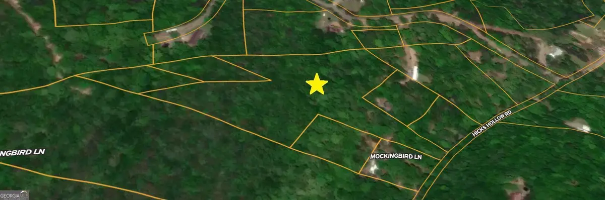 0 Hicks Hollow Road, Trenton, GA 30752 - Image #1