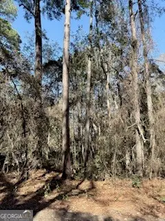 28 Deer Trail Lane, Midway, GA 31320 - #1