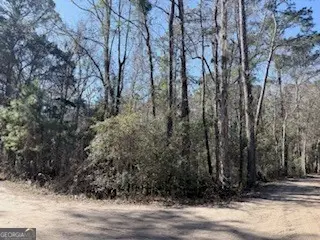 138-140 Dogwood Lane, Midway, GA 31320 - #1