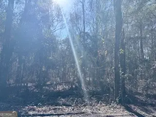 138-140 Dogwood Lane, Midway, GA 31320 - #3