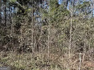 152-155 Dogwood Lane, Midway, GA 31320 - #1