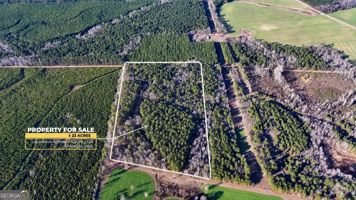 675 Jackson Road, Wrightsville, GA 31096 - Image #1