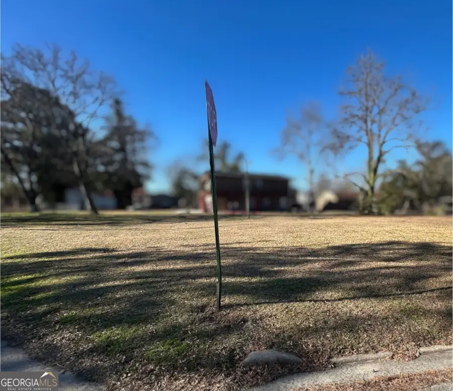 912 Maple Street, Fort Valley, GA 31030 - #2