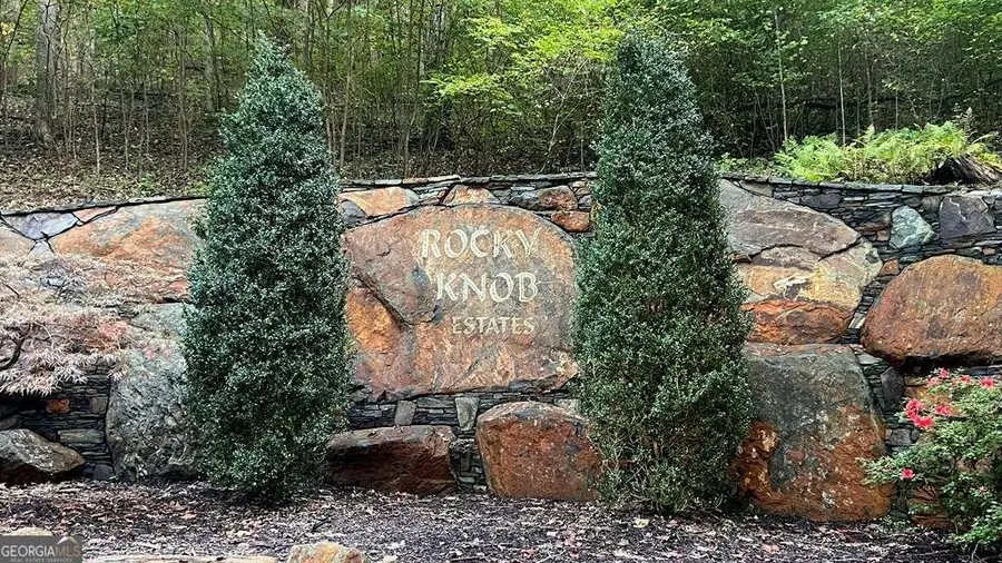 LOT 24 Rocky Knob Estates, Young Harris, GA 30582 - #2