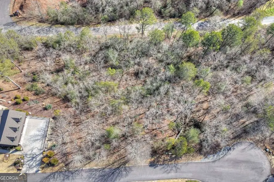 112 Fawn Way, Mineral Bluff, GA 30559 - #3