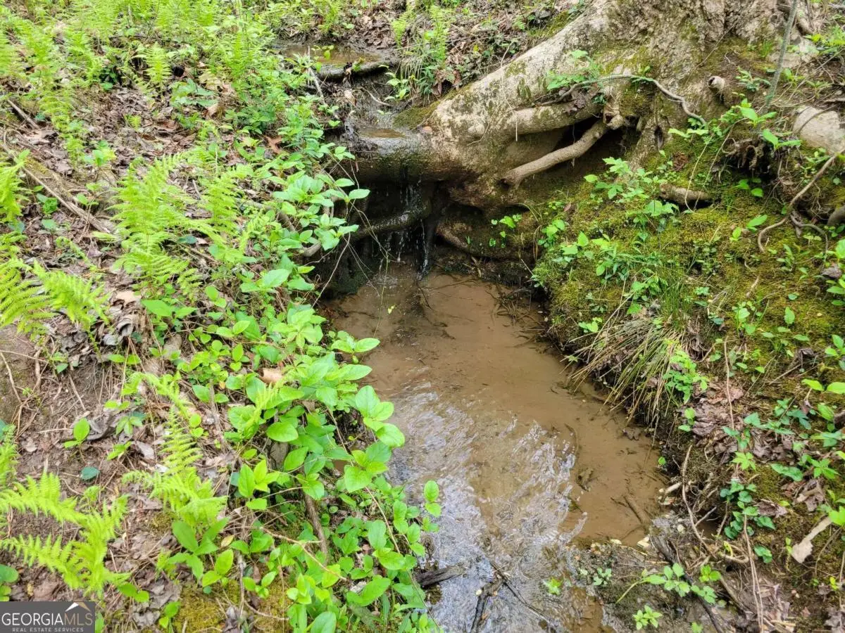 LOT27 Oak Ridge Way, Ellijay, GA 30536 - #1