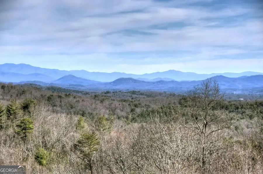 187 Mahoosec Trail, Mineral Bluff, GA 30559 - #3