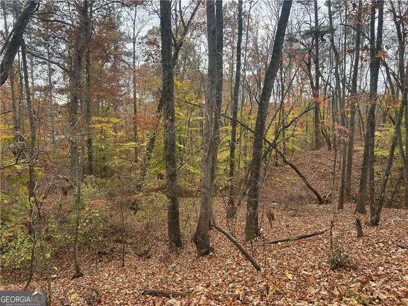 932 Sardis Road, Canton, GA 30114 - Image #2