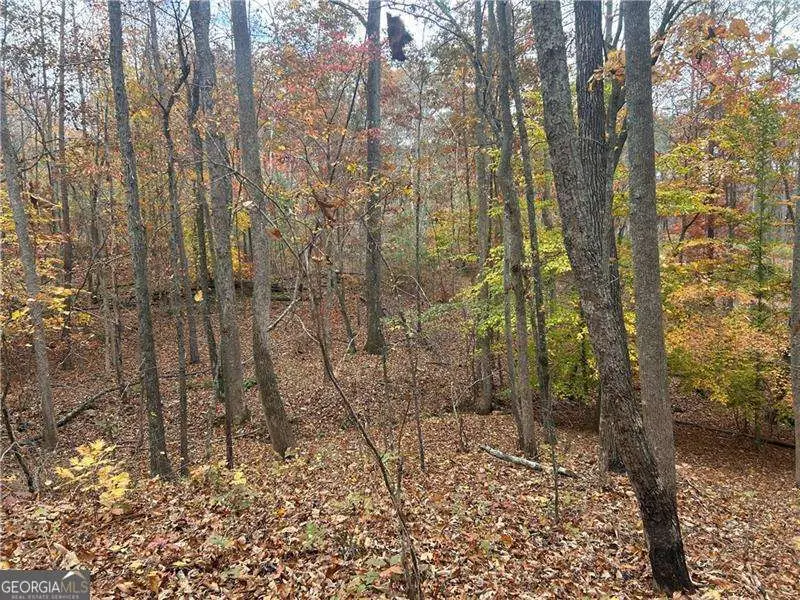 932 Sardis Road, Canton, GA 30114 - Image #3