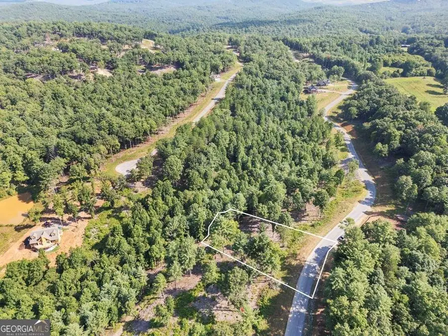 LOT 222 Ridge Drive, Morganton, GA 30560 - #3