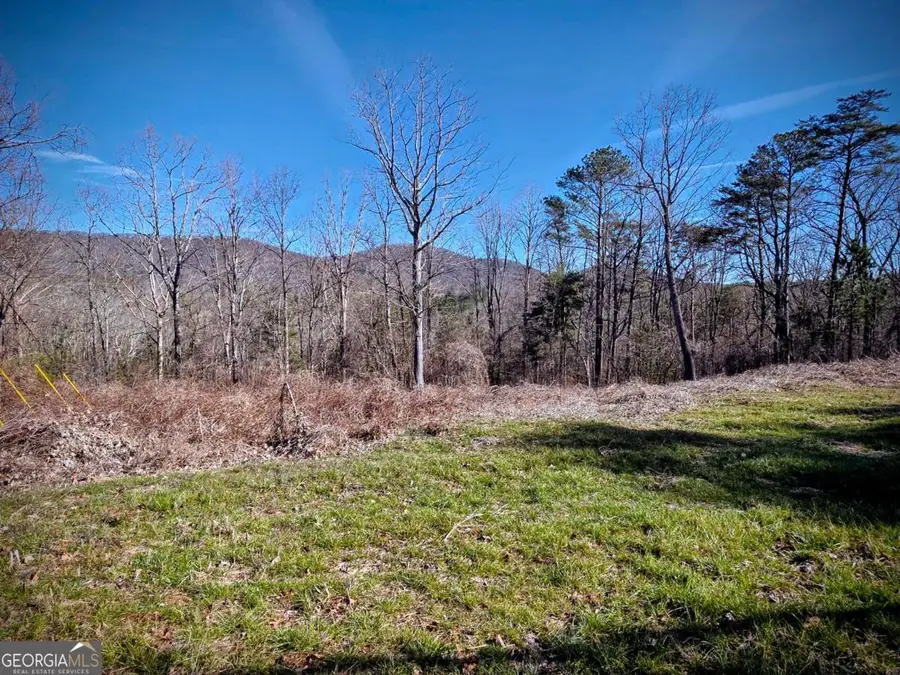 0 Cowart Mountain Tract 2 Road, Jasper, GA 30143 - #3