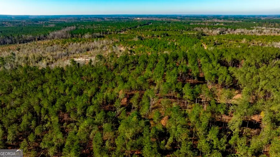 0 S Highway 19 & Warm Spring Road, Glenwood, GA 30428 - #2