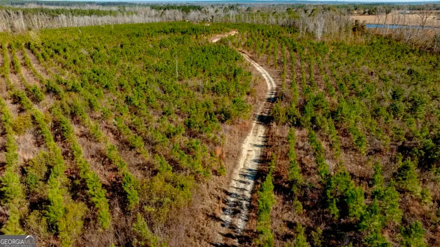 0 S Highway 19 & Warm Spring Road, Glenwood, GA 30428 - #3