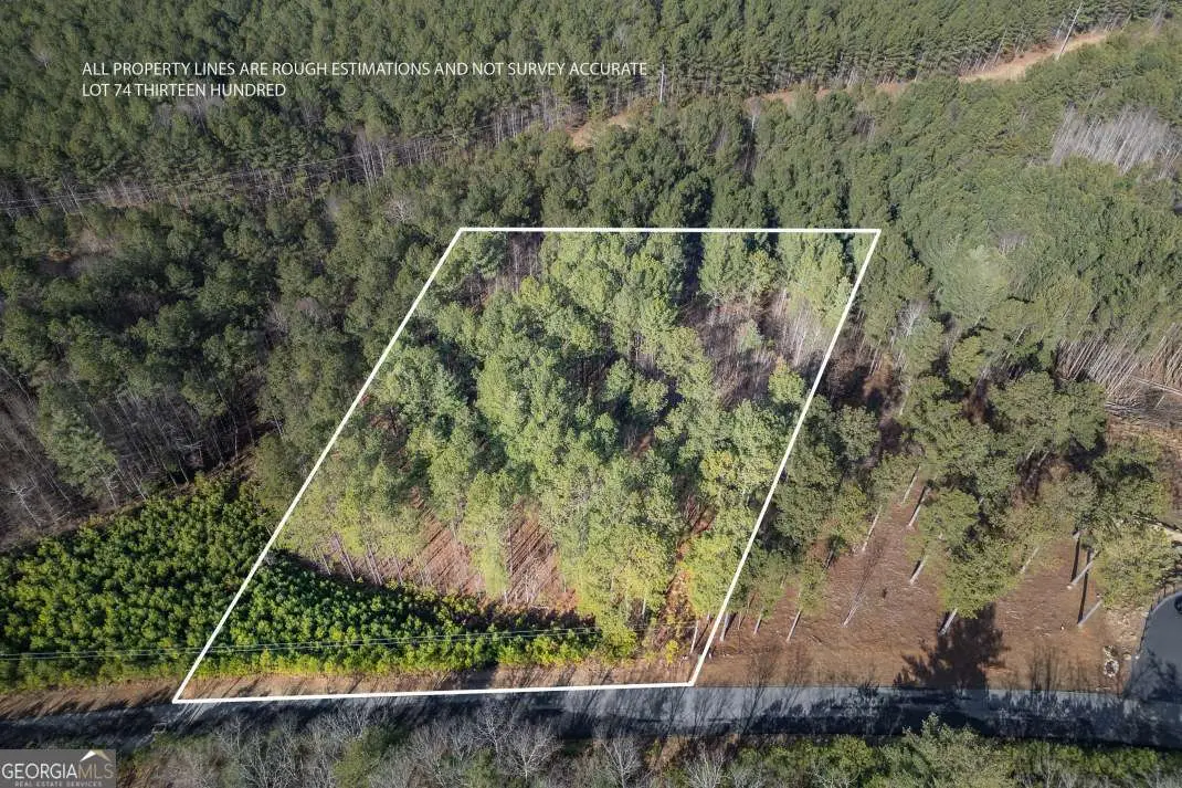 LOT 74 Thirteen Hundred, Blairsville, GA 30512 - #1