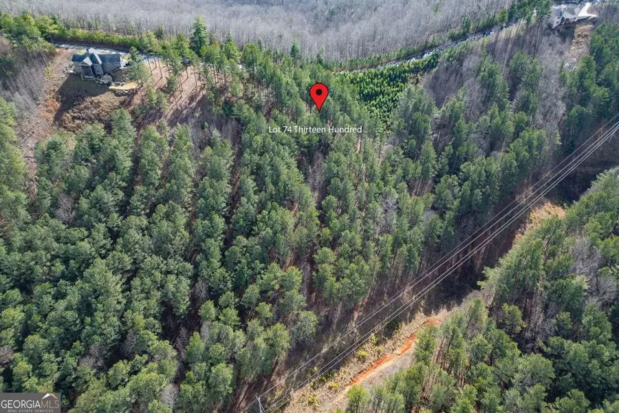LOT 74 Thirteen Hundred, Blairsville, GA 30512 - #2