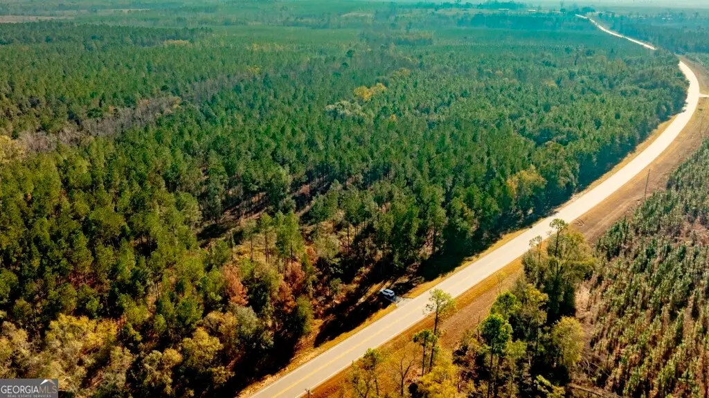 0 S Highway 19 & Warm Spring Road, Glenwood, GA 30428 - #1