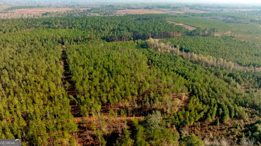 0 S Highway 19 & Warm Spring Road, Glenwood, GA 30428 - #2