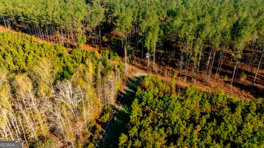 0 S Highway 19 & Warm Spring Road, Glenwood, GA 30428 - #3