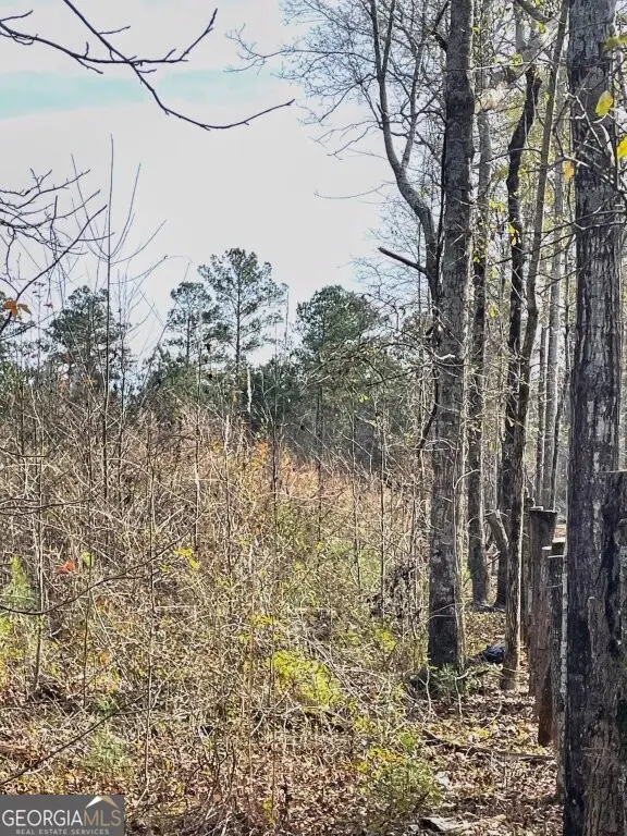 0 Zebulon Road, Milner, GA 30257 - #1