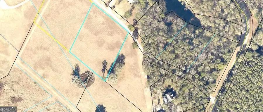 0 Mill Creek Road, Bartow, GA 30413 - Image #2