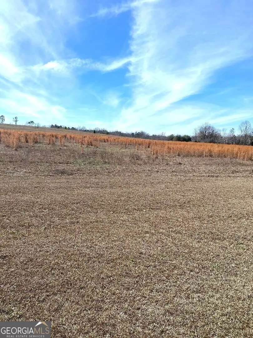 0 Mill Creek Road, Bartow, GA 30413 - Image #3