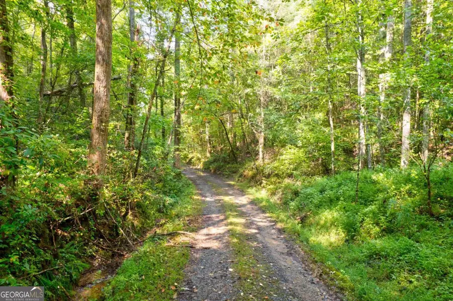 21AC Charles Road, Ellijay, GA 30540 - Image #3