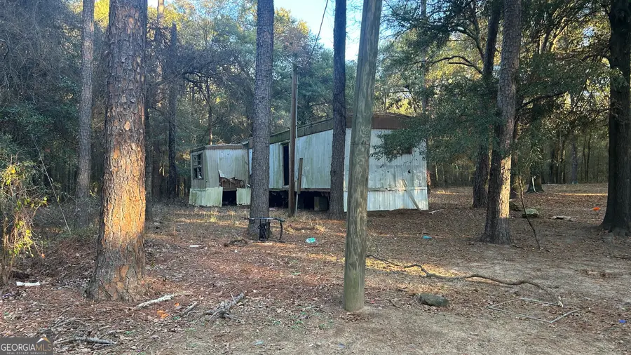 34 Hall Road, Hawkinsville, GA 31036 - #3