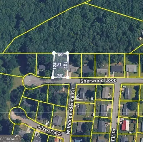 214 Sherwood Loop, McDonough, GA 30253 - Image #3