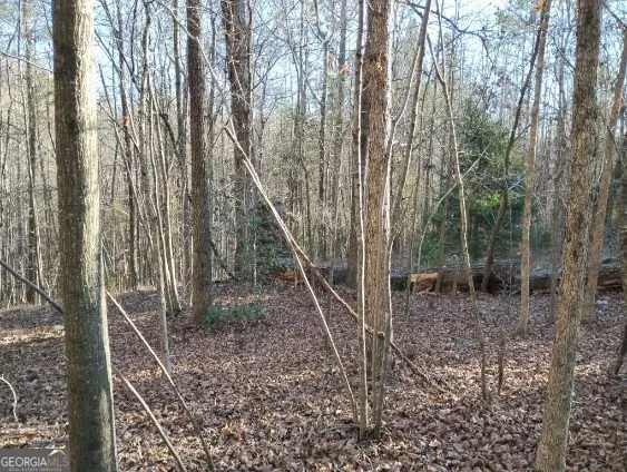 000 Garrison Shoals Rd, Lula, GA 30554 - Image #2