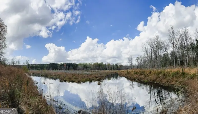 0 Hiltonia-perkins Road, Sylvania, GA 30467 - Image #1