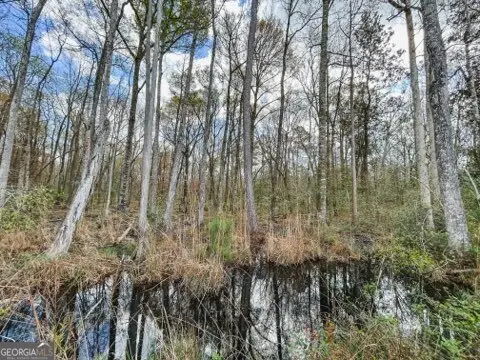 0 Hiltonia-perkins Road, Sylvania, GA 30467 - Image #3