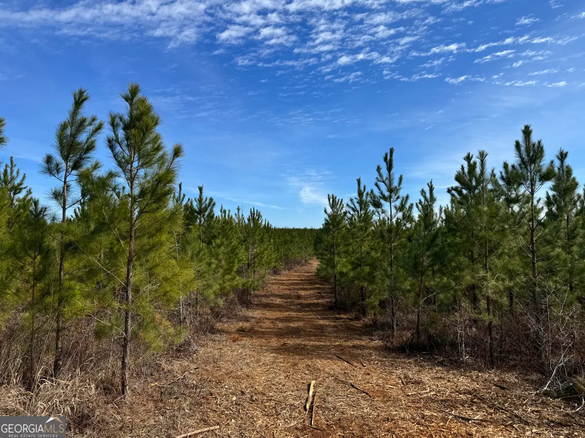 019 Dozier Road, Ellaville, GA 31806 - #1