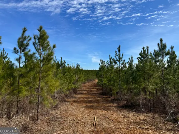 019 Dozier Road, Ellaville, GA 31806