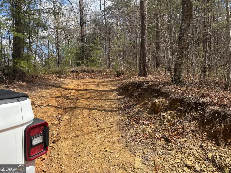 0 Laurel Branch, Dawsonville, GA 30534 - Image #2