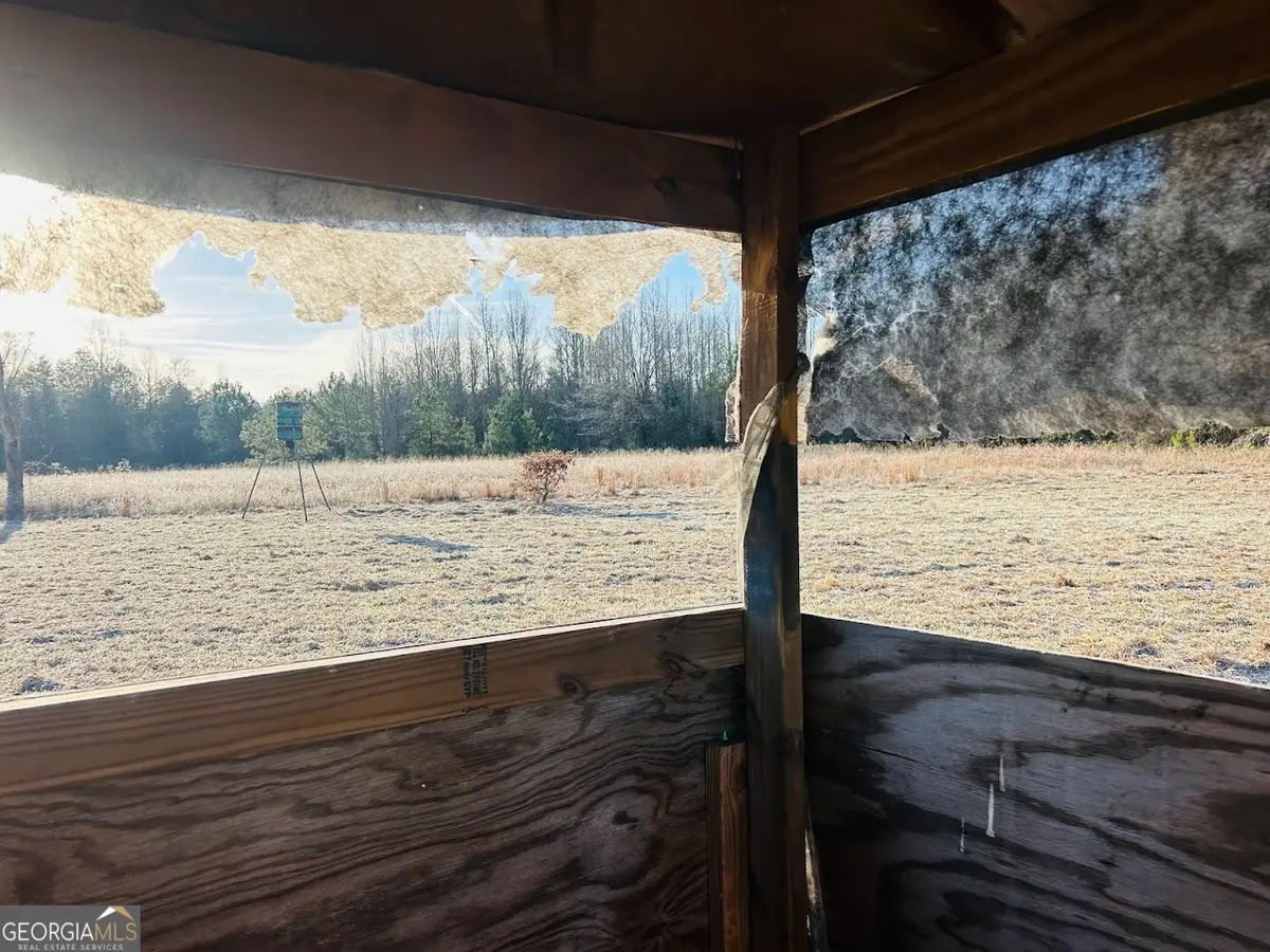 0 Bickley Road #TRACT A, Butler, GA 31006 - #1